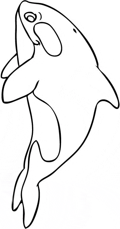 free Killer Whale (Orca) coloring page