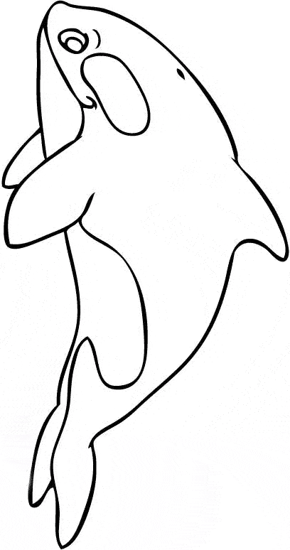 Download Killer Whale Orca Coloring Page Animals Town Animals Color Sheet Killer Whale Orca Printable Coloring