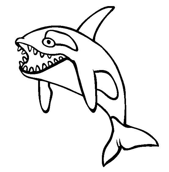 free Killer Whale (Orca) coloring page