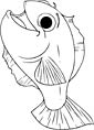 Killifish coloring sheet