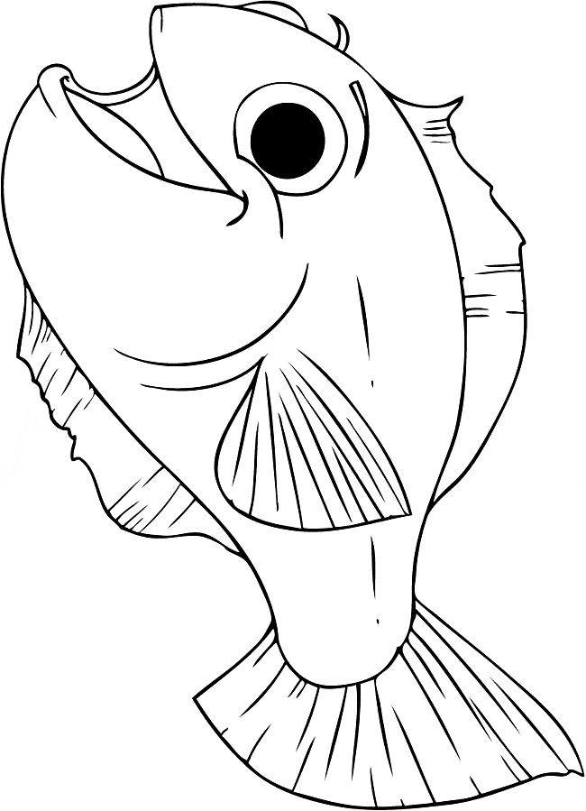 free Killifish coloring page