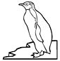 King Penguin coloring page