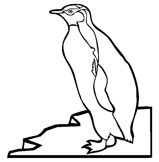 free King Penguin coloring page