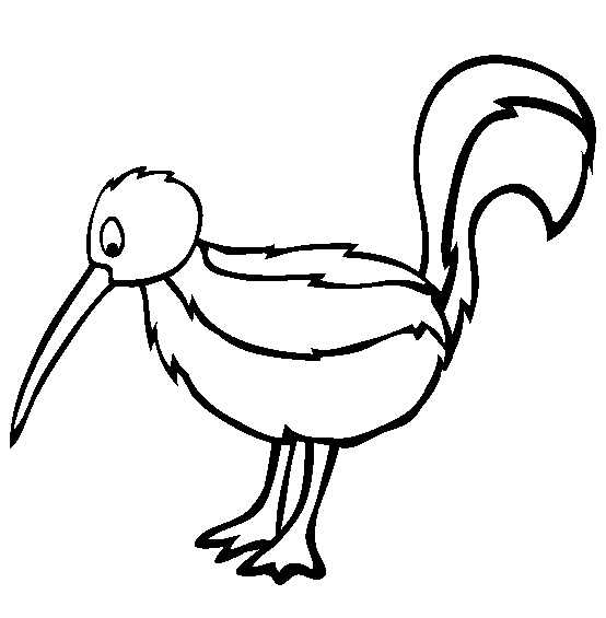 free Kiwi coloring page