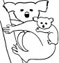 Koala coloring page