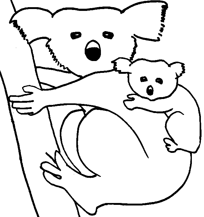 free Koala coloring page