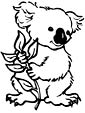 Koala coloring page