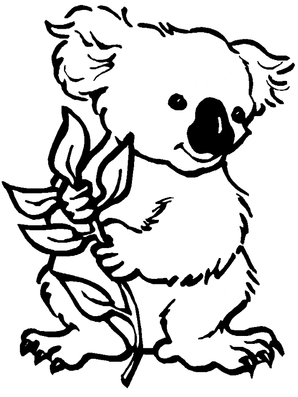 free Koala coloring page