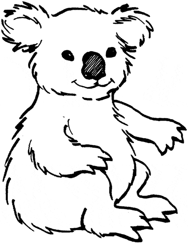 koala coloring 03