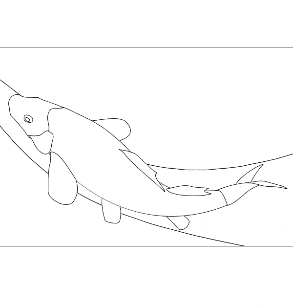 free Koi coloring page