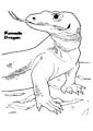 Komodo Dragon coloring page