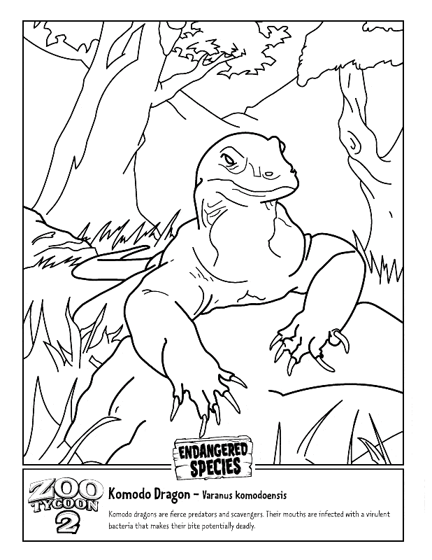 komodo-dragon-coloring-page-animals-town-animal-color-sheets-komodo