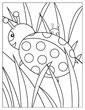 Ladybug coloring pages