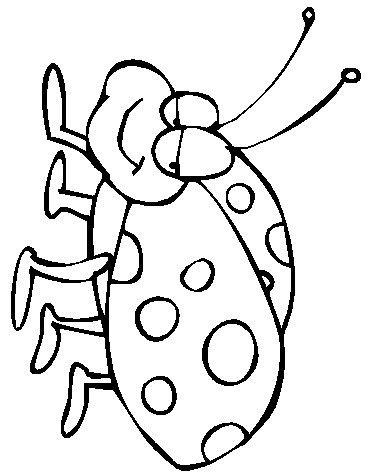 free Ladybug coloring page