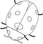 Ladybug colouring