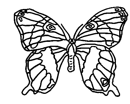 Leafwing coloring page - Animals Town - Animal color sheets Leafwing
