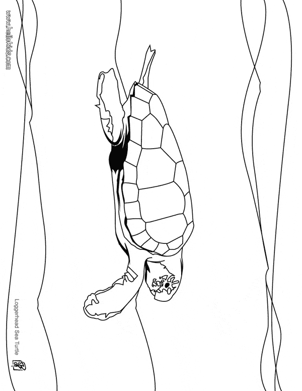 free Leatherback Sea Turtle coloring page