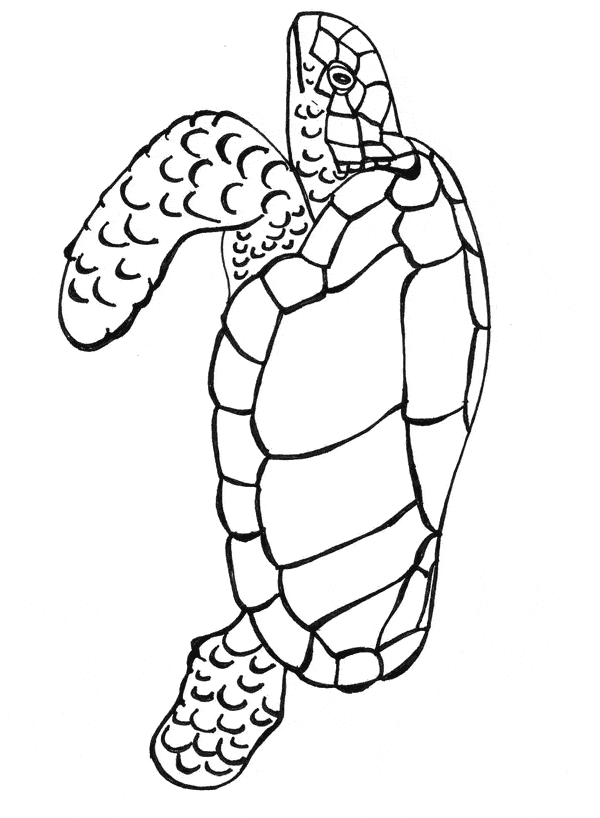 free Leatherback Sea Turtle coloring page