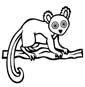 Lemur coloring page