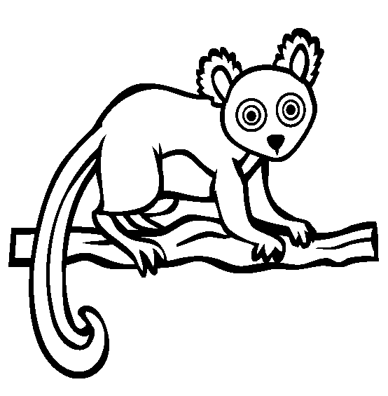 free Lemur coloring page