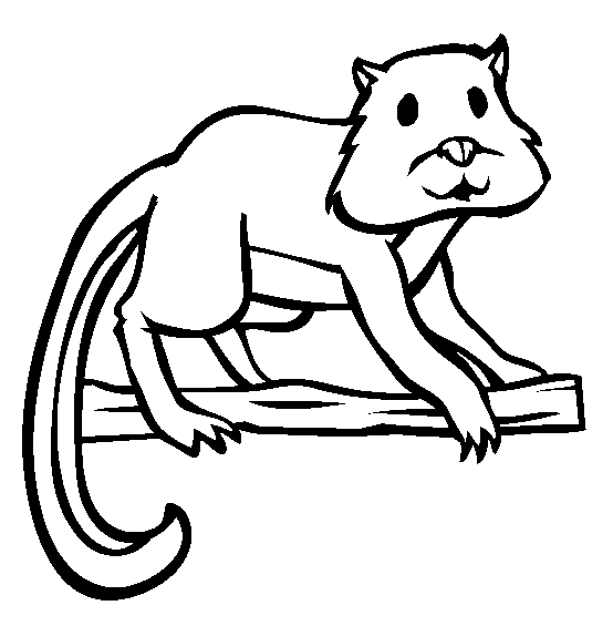 free Lemur coloring page