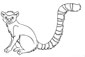 Lemur coloring pages