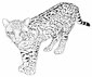 Leopard coloring page