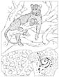 leopard coloring sheet