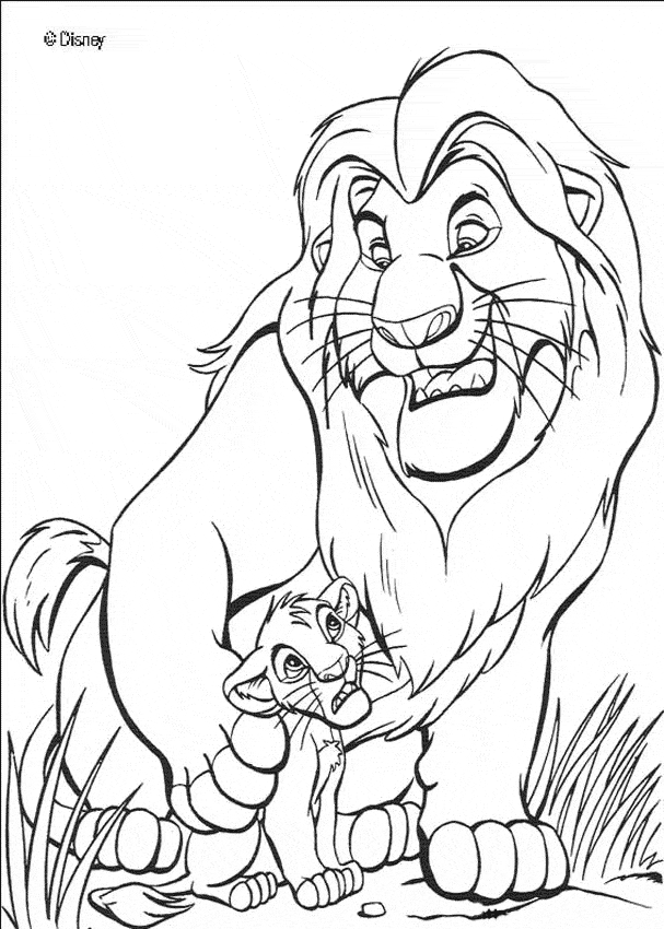 free Lion coloring page sheet picture