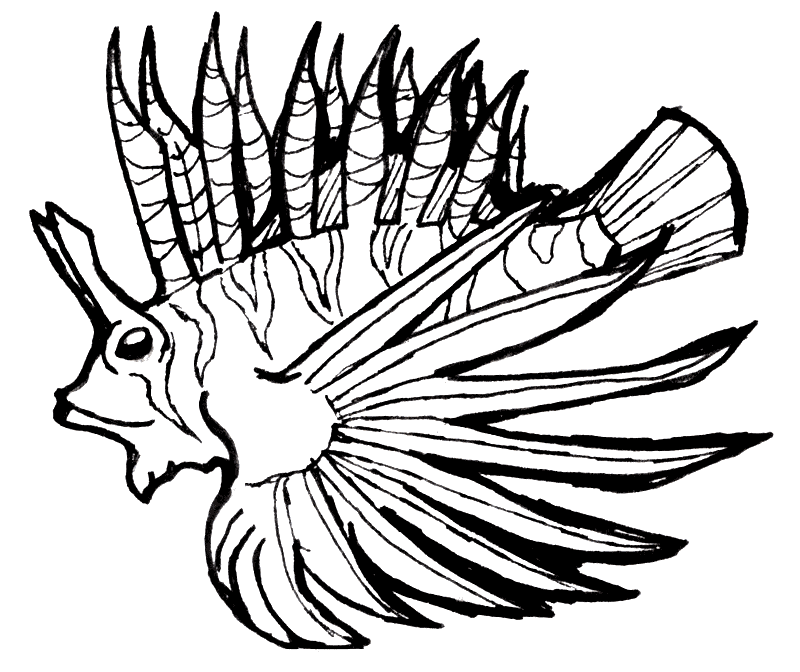 Lionfish coloring page - Animals Town - animals color sheet - Lionfish