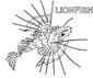 Lionfish color page