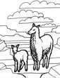 Llama coloring page