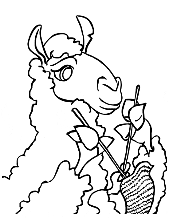 free Llama coloring page