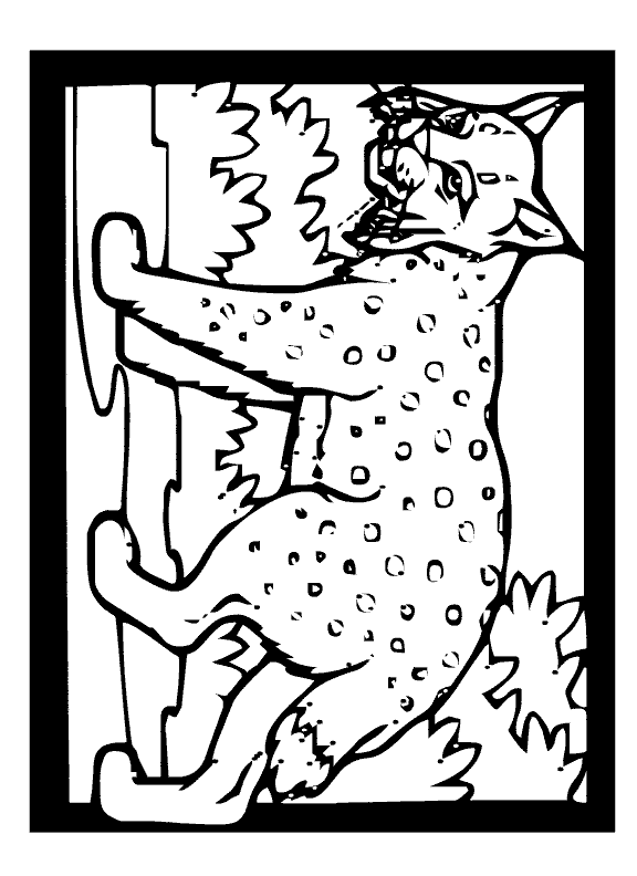 free Lynx coloring page