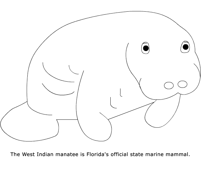 free Manatee coloring page