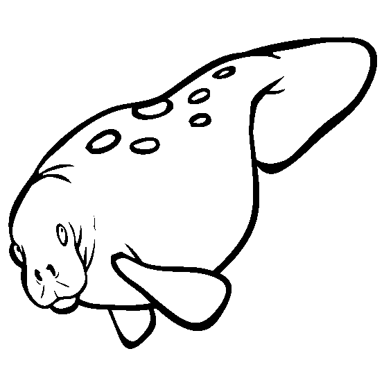 free Manatee coloring page