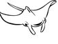 Manta Ray coloring page