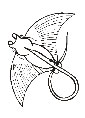 manta ray coloring page