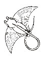 Manta Ray coloring page