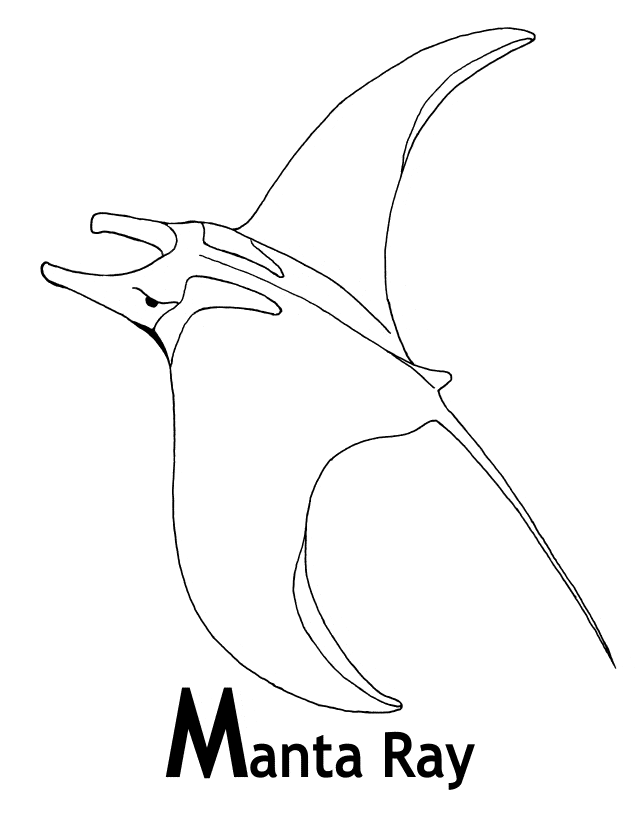 free Manta Ray coloring page