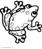 Mantella Frog coloring page