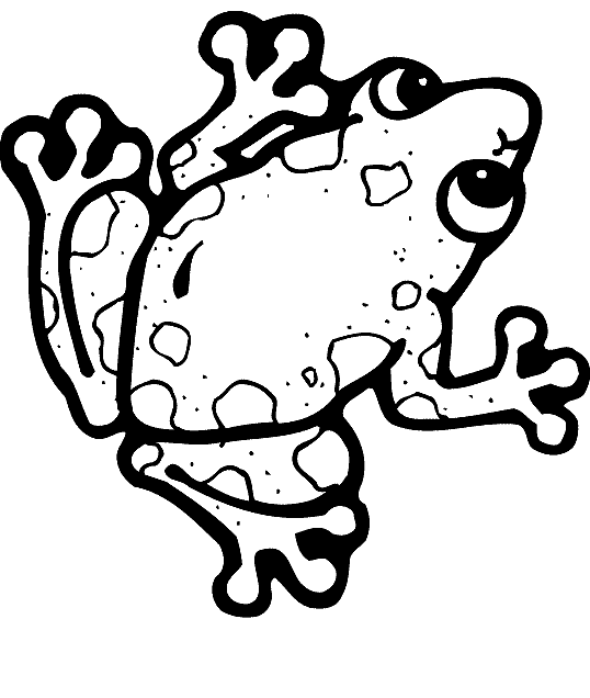 free Mantella Frog coloring page
