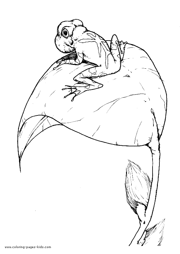 free Mantella Frog coloring page