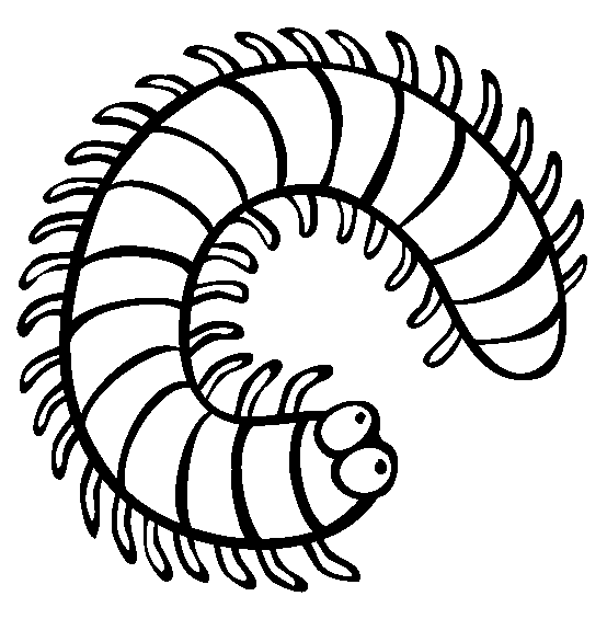 free Millipede coloring page