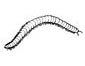 Millipede coloring page