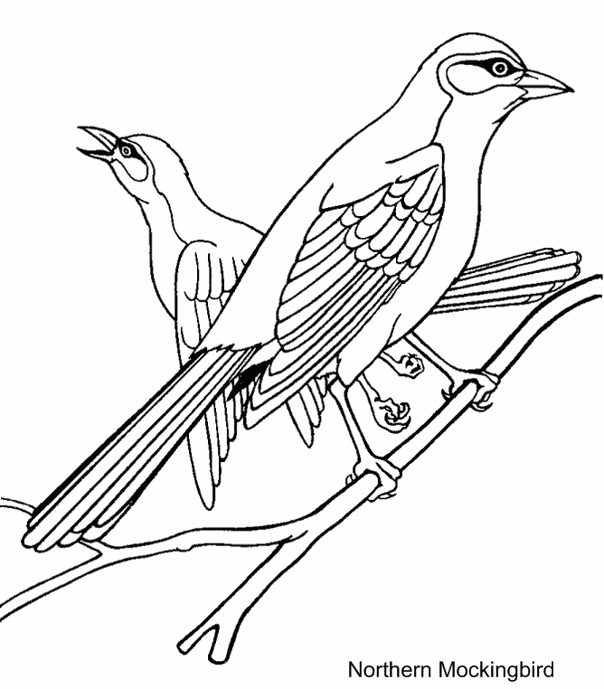 free Mockingbird coloring page