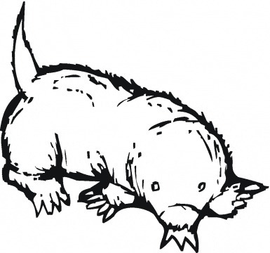 free Mole coloring page