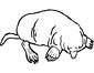 Mole coloring page