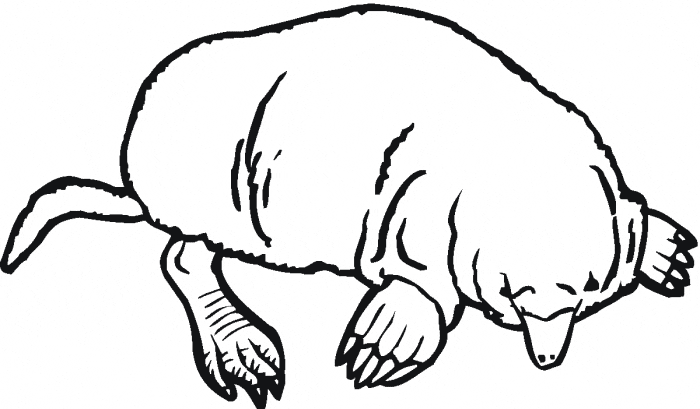 free Mole coloring page