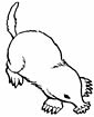 mole coloring page